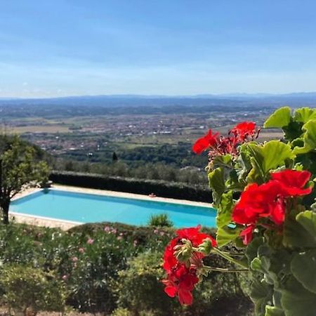 Agriturismo Cima Alla Serra Buti 외부 사진