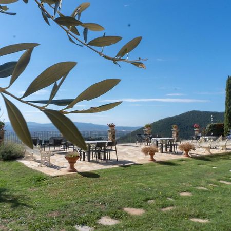 Agriturismo Cima Alla Serra Buti 외부 사진