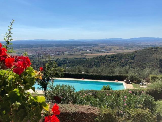 Agriturismo Cima Alla Serra Buti 외부 사진