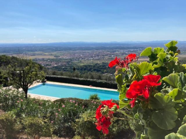 Agriturismo Cima Alla Serra Buti 외부 사진