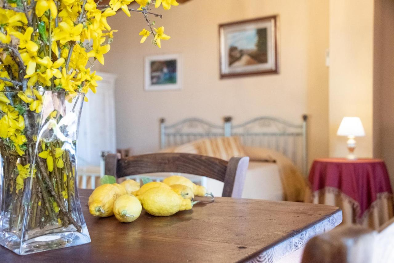 Agriturismo Cima Alla Serra Buti 외부 사진