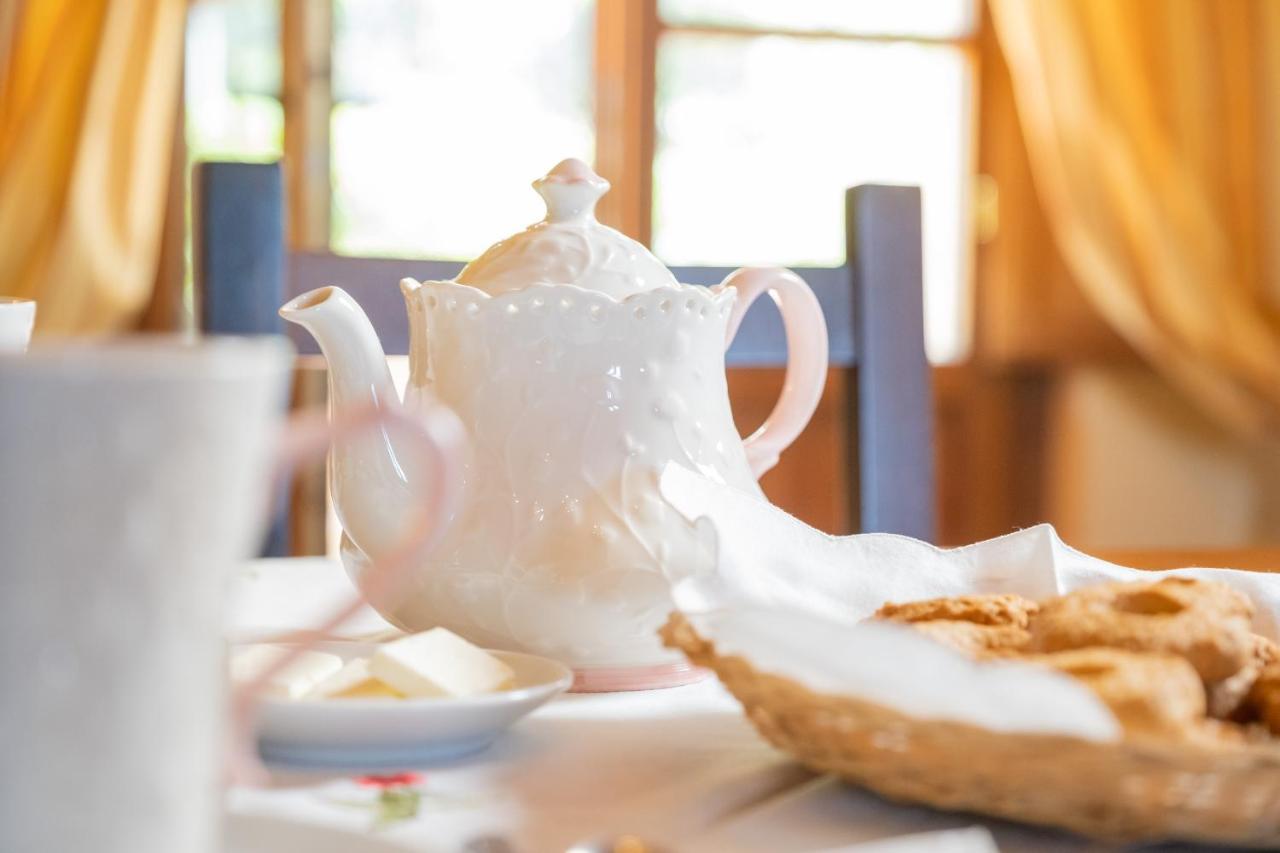 Agriturismo Cima Alla Serra Buti 외부 사진