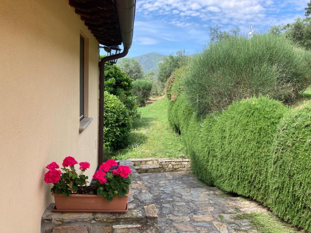 Agriturismo Cima Alla Serra Buti 외부 사진