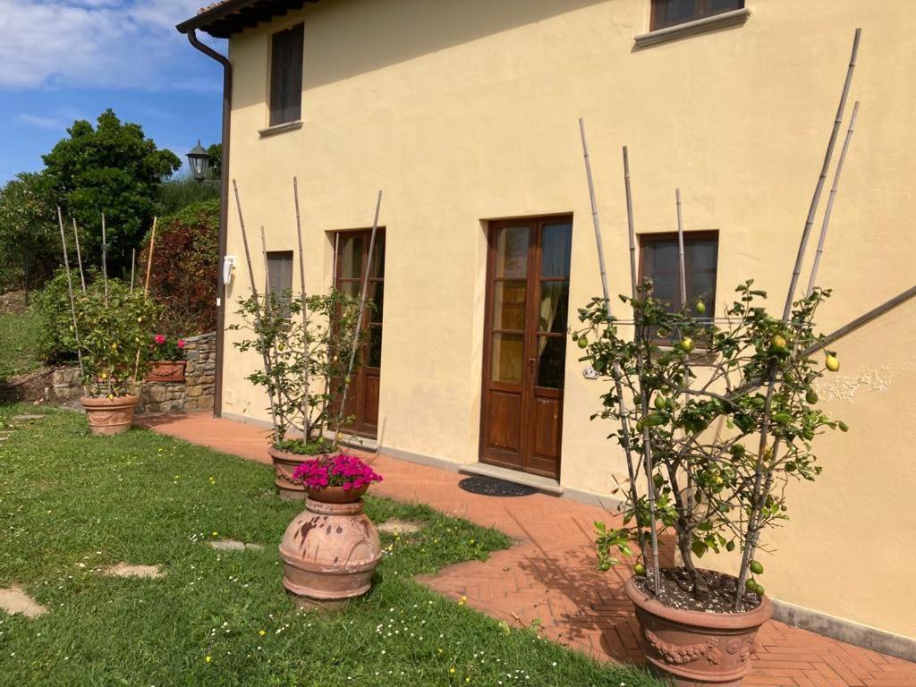 Agriturismo Cima Alla Serra Buti 외부 사진